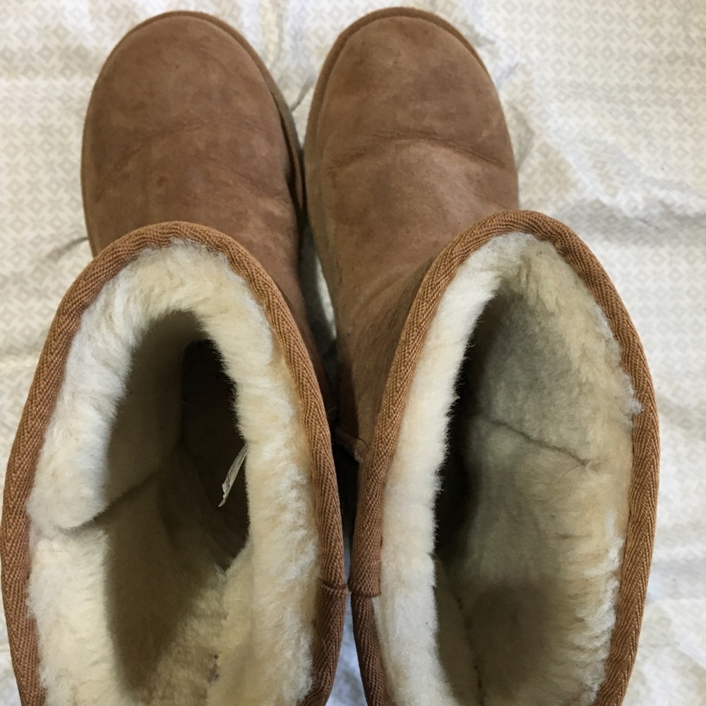 Classic Short Brown UGGs